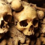 Paris: Catacombs Ticket and Seine River Cruise - Why This Tour Works Well