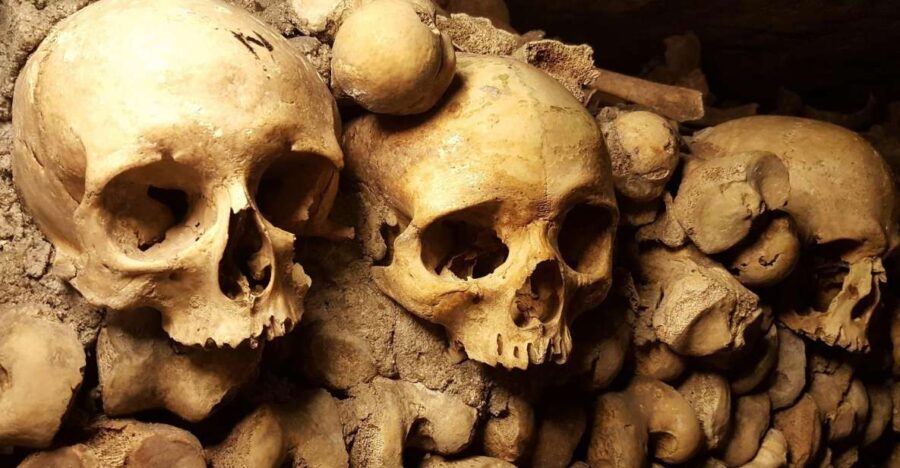 Paris: Catacombs Ticket and Seine River Cruise - Why This Tour Works Well