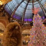 Paris: Christmas Private City Tour by Car - A Closer Look at the Itinerary