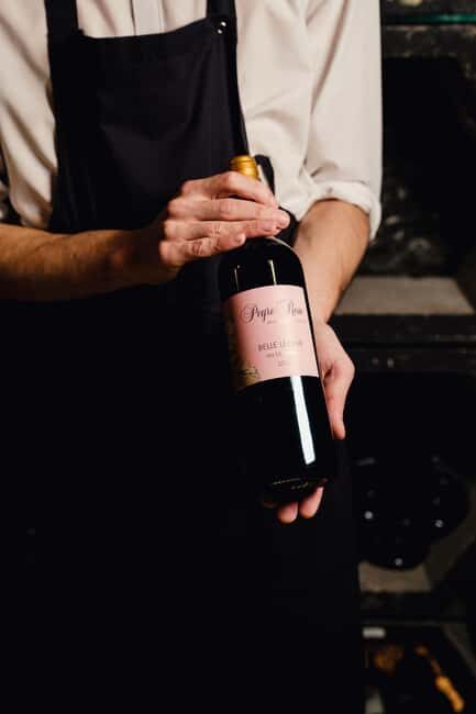 Paris: Citroën 2CV Private Tour with Wine Tasting Experience - Who will love this tour?