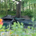 Paris: Giverny Gardens Day Trip with Professional Tour Guide - Why This Tour Works for You