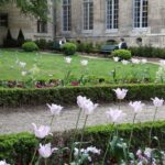 Paris: Guided tour of Marais in German - A Detailed Look at the Tour Experience
