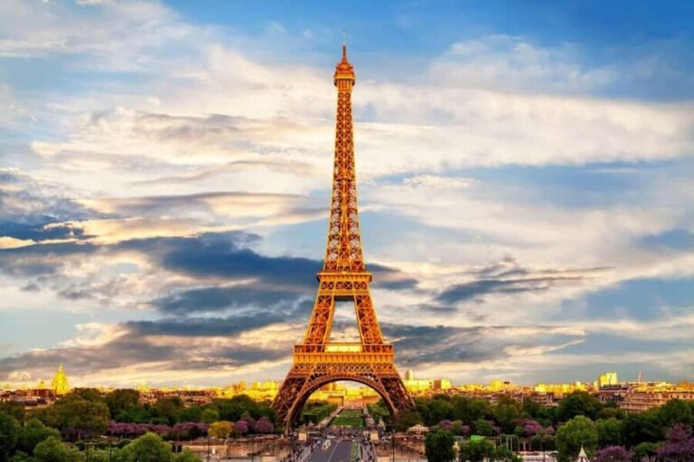 Paris Half-Day City Tour with a Private Driver - An In-Depth Look at the Tour Experience