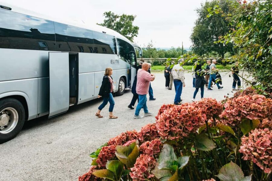 Paris: Normandy D-Day Sites Guided Day Trip with Lunch - A Complete Dive into the Normandy D-Day Tour Experience