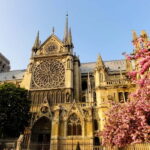 Paris: Notre Dame Exterior Private Guided Tour - Why This Tour Offers Real Value