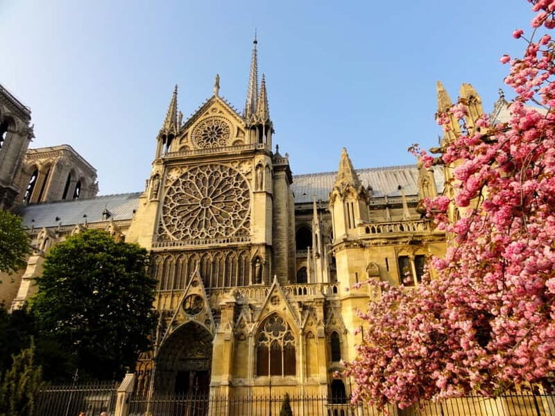 Paris: Notre Dame Exterior Private Guided Tour - Why This Tour Offers Real Value