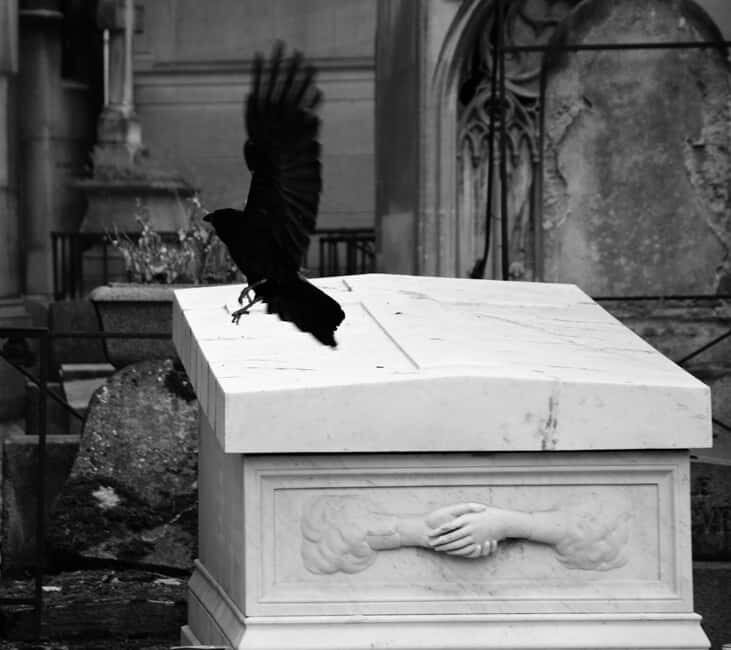 Paris: Père Lachaise Cemetery Guided Tour in Polish - Who Should Consider This Tour?