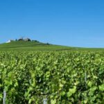 Paris: Private Chauffeur-Driven Champagne Region Day Trip - What Makes This Tour Stand Out?