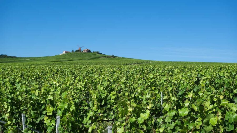 Paris: Private Chauffeur-Driven Champagne Region Day Trip - What Makes This Tour Stand Out?