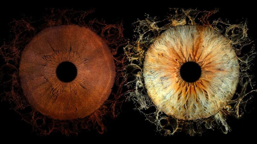 Paris Rivoli: Reveal the beauty of your iris with Iris Galerie - Who Will Love This Experience?