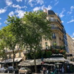 Paris: Saint-Germain. The luxury+intellectual side of Paris. - Authentic Insights from Travelers