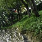 Paris Secret Gardens 1.30 hour long Walking Tour - A Detailed Look at the Paris Secret Gardens Tour