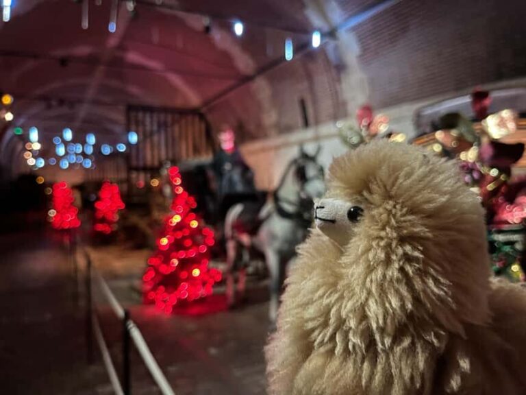 Paris: Vaux-le-Vicomte Private Guided Tour - A Complete Look at the Vaux-le-Vicomte Christmas Tour