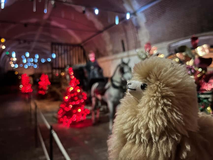 Paris: Vaux-le-Vicomte Private Guided Tour - A Complete Look at the Vaux-le-Vicomte Christmas Tour