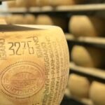 Parma: Parmigiano-Reggiano Tour and Tasting - The Practicalities: How It Works and What to Prepare