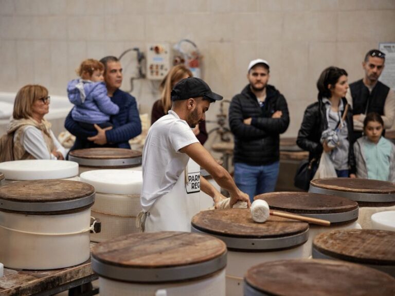 Parmesan Factory Tasting & Tour in Formigine, near Modena - Who Should Consider This Tour?