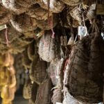 Parmigiano and Culatello Private Tour with Lunch and Farm Visit - The Sum Up