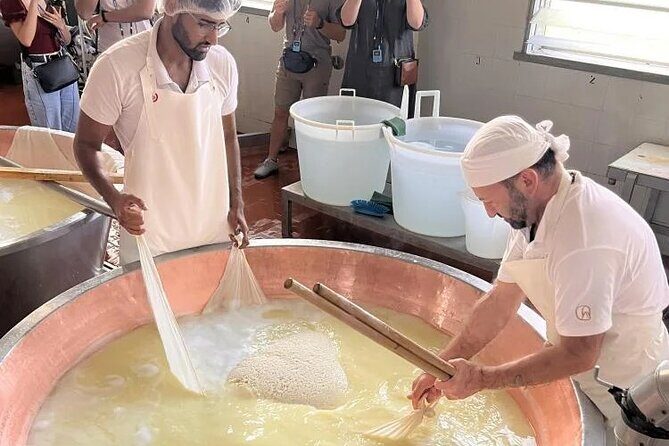 Parmigiano Cheese Factory Visit and Tasting - FAQs About the Parmigiano Reggiano Factory Visit