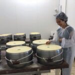 Parmigiano Reggiano & Aceto Balsamico Tradizionale - A Deeper Look at the Experience