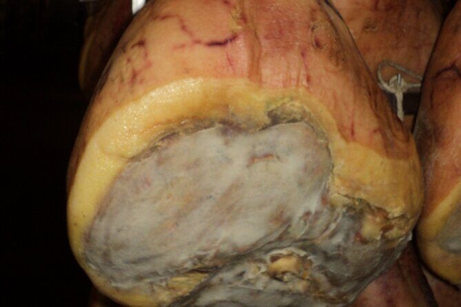 Parmigiano Reggiano and Parma ham tour - FAQ