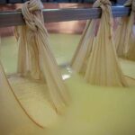 Parmigiano Reggiano Cheese Factory Tour & Tasting Experience - Price and Value