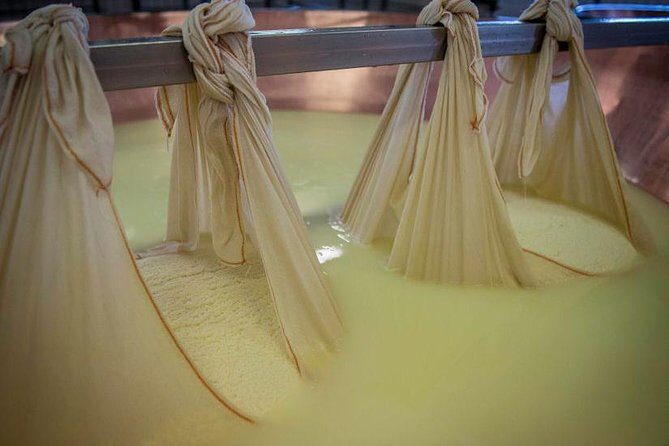 Parmigiano Reggiano Cheese Factory Tour & Tasting Experience - Price and Value