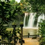Paronella Park Admission Ticket - Authentic Reviews: What Visitors Truly Love