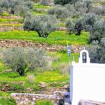 Paros Byzantine Path Ancient Greek Route Hiking Experience - FAQ