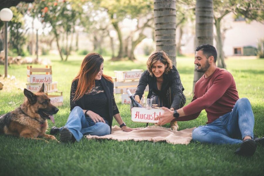 Partinico: Farm Augustali Winery Tour with Picnic & Tastings - Final Thoughts