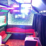 Party Bus & Dancer for 3 hours in Vilnius Private tour - Exploring Vilnius in a Party Bus: What to Expect