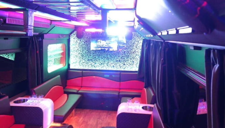 Party Bus & Dancer for 3 hours in Vilnius Private tour - Exploring Vilnius in a Party Bus: What to Expect