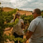 Paso Robles: The Luxe Wine Trail Excursion - Why This Tour Delivers Real Value