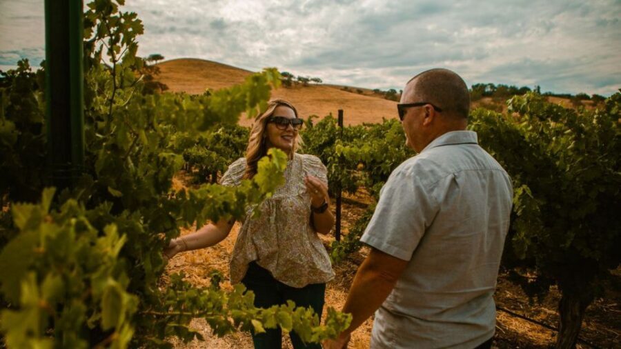 Paso Robles: The Luxe Wine Trail Excursion - Why This Tour Delivers Real Value