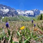 Pass Valbona - Theth: Albanian Alps in a 3-Day Trip - What to Bring and What to Know