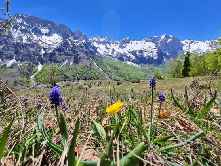 Pass Valbona - Theth: Albanian Alps in a 3-Day Trip - What to Bring and What to Know