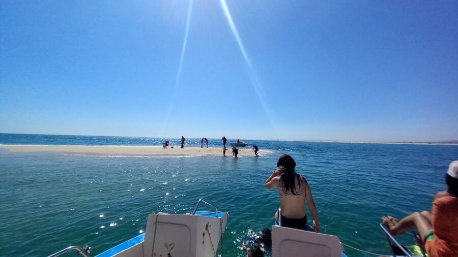 Passeio de barco na Ria Formosa 3H - The Authentic Experience