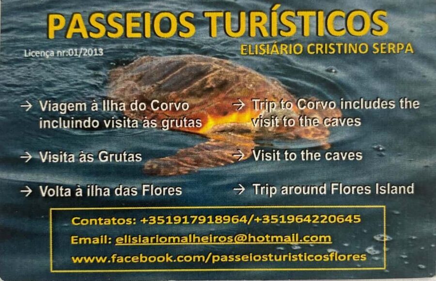 Passeios Turísticos: Trip to Corvo by Boat - Frequently Asked Questions
