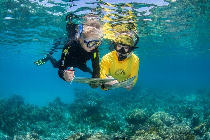 Passions of Paradise Great Barrier Reef Cruise by Catamaran - What We Loved and What to Consider