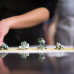 Pasta Cooking Experience in Florence - Final Thoughts