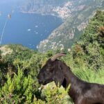 Path of the gods hike - A Deep Dive Into the Path of the Gods Experience