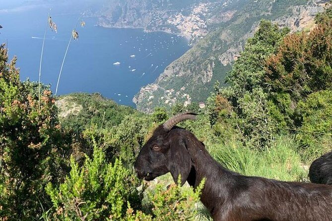 Path of the gods hike - A Deep Dive Into the Path of the Gods Experience