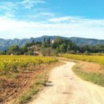 Peaceful Countryside Day : vineyards, food & villages - Key Points