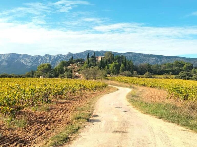 Peaceful Countryside Day : vineyards, food & villages - Key Points