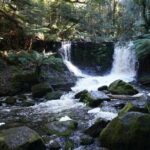 Peaks, Falls & Furry Locals: Mt. Field & the Derwent - The Sum Up: Who Will Love This Tour?