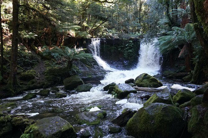 Peaks, Falls & Furry Locals: Mt. Field & the Derwent - The Sum Up: Who Will Love This Tour?
