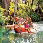 Pearl Harbor & Mini Circle Island from Maui - Why This Tour Works for You