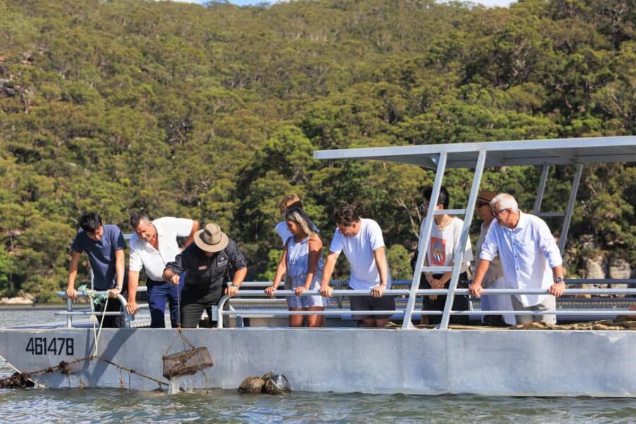 Pearl & Oyster Farm Hawkesbury River Cruise