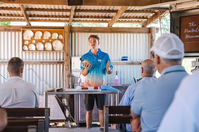 Pearls & Coast: 35-Min Heli Flight, Willie Creek Tour & Lunch - The Experience in Detail