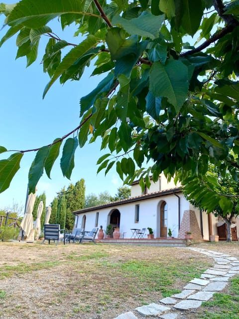 Peccioli: Wine tasting experience - A Closer Look at the Experience