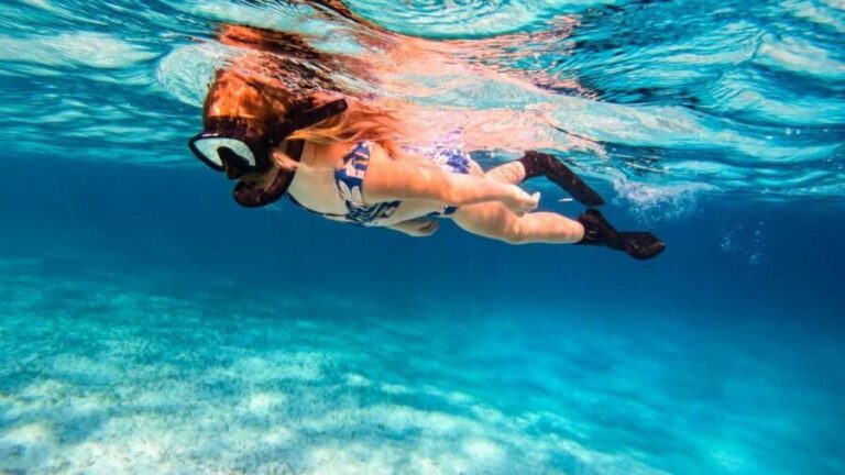 Pefkochori: Snorkeling Trip in Halkidiki-Kassndra - Final Thoughts